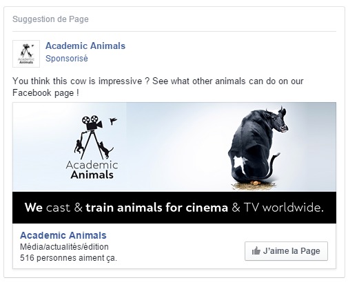 exemple publicite facebook pour academic animals